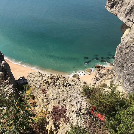 Dani's House - * Nazaré